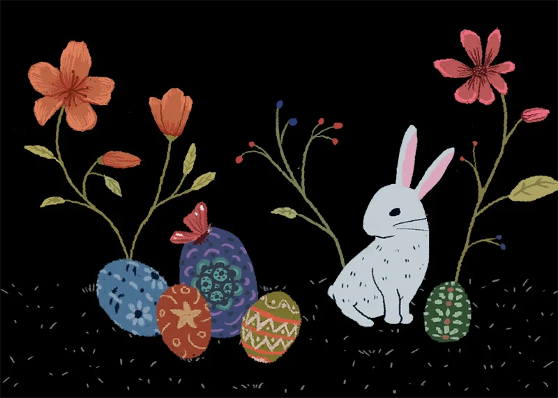 可愛白兔 White Rabbit