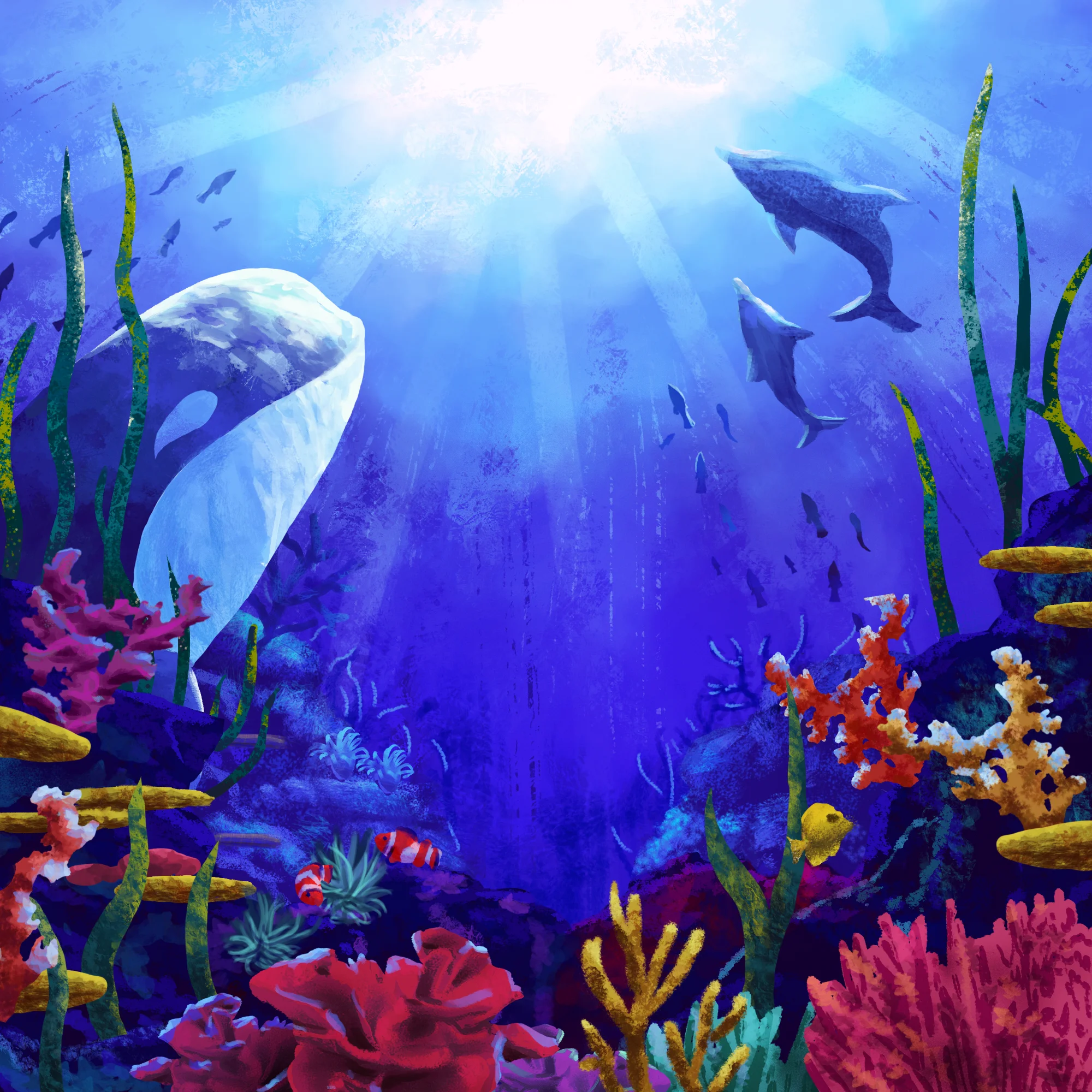 海底世界 The World Under